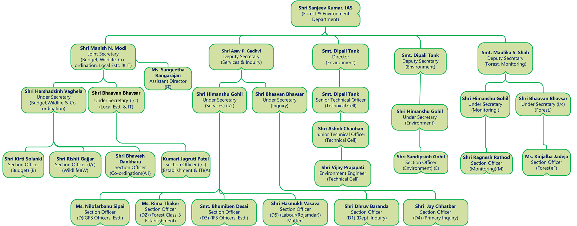 Organization Structure
